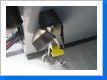 Klicken Sie auf das Bild, um es zu vergr&ouml;&szlig;ern