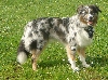 Benutzerbild von aussie