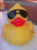Benutzerbild von rubberduck